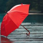 Red umbrella on rain